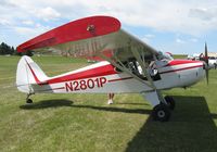 N2801P @ 00MN - 2010 Gerry Beck Memorial Fly-in - by Kreg Anderson