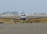 N465SK @ KAPC - Head-on shot of 2000 Piper PA-46-500TP arriving from Chino, CA (KCNO) - by Steve Nation