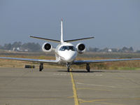 N617QS @ KAPC - Head-on shot of Netjets 2005 Cessna 560XL arriving from San Antonio In't, TX (KSAT) - by Steve Nation