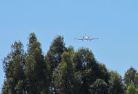 N398LS @ KCCR - Les Schwab Tires 1998 Cessna 550 on approach through the trees - by Steve Nation