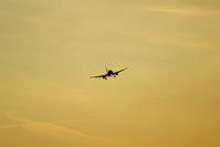 OE-LBD @ LOWL - AUA@ LOWL - by Jan Ittensammer