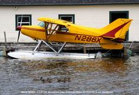 N286X @ 3B1 - Maule with feathered friends - by J.G. Handelman