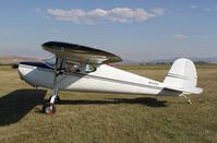 N72769 @ KSPF - Cessna 140