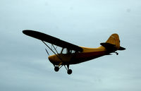 N81761 @ S50 - on final, a classic - by Wolf Kotenberg