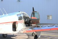 N3391V - Dogs first ride, his name is Rabbi - by Gary Wilson