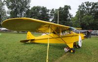 N19252 @ KOSH - EAA AIRVENTURE 2010 - by Todd Royer