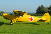 N203SA @ EGKH - SHOT AT HEADCORN - by Martin Browne