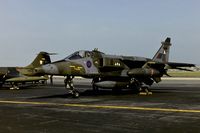 XZ113 @ EDDF - Rhein Main AB open house - by Friedrich Becker