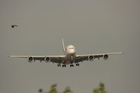 A6-EDJ @ EGLL - Taken at Heathrow Airport, June 2010 - by Steve Staunton