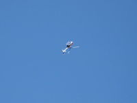 N133EH @ CMA - Red Bull aerobatics - by Doug Robertson