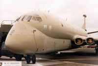 XV229 photo, click to enlarge XV229 photo, click to enlarge
