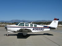 N3668U @ KCMA - 1980 Beech A36 basking on sunny, balmy visitors ramp on at Camarillo Airport in early Jan 2007 - by Steve Nation