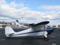 N85906 @ SZP - 1946 Aeronca 11AC CHIEF, Continental A&C65 65 Hp - by Doug Robertson
