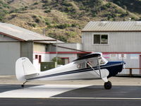 N85906 @ SZP - 1946 Aeronca 11AC CHIEF, Continental A&C65 65 Hp, takeoff roll Rwy 22 - by Doug Robertson