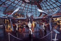 N25Y - Flying Bulls Hangar 7 - by Delta Kilo