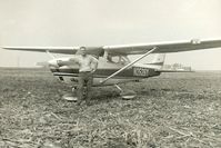 N2526Y - Iowa corn field mid '60's - by NN