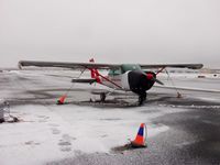 N52950 @ PAMR - Take Flight Alaska - by Christopher Maize