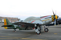 N5428V @ EFD - CAF P-51 Gunfighter At the 2010 Wings Over Houston Airshow - by Zane Adams