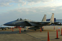 82-0047 @ EFD - At the 2010 Wings Over Houston Airshow - by Zane Adams