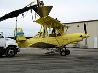 N3630D - Tolle's Flying Service (Robbins, CA) Turbine 1984 G-164B being loaded with fertilizer at owner's private airstrip near junction of State Hwy 113 and Reclamation Road - applying fertilizer pellets to wheat this day with spreader - by Steve Nation