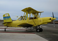 N3630D - Pilot of Tolle's Flying Service (Robbins, CA) Turbine 1984 G-164B waits for take-off at owner's private airstrip near junction of State Hwy 113 and Reclamation Road - applying fertilizer pellets to wheat this day with spreader - that's Turbine G-164B N362 - by Steve Nation