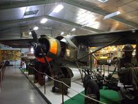 173 - on preservation at Warluis - by juju777