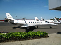 N41VP @ KHWD - 2002 Cessna 560  @ Hayward, CA - by Steve Nation