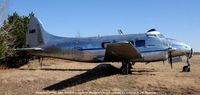 N104DV @ 00V - Dove in Colorado - by J.G. Handelman