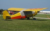 N31346 @ KOSH - EAA AirVenture 2010 - by Kreg Anderson