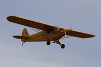 N3360N @ KSPF - Piper J-3 - by Mark Pasqualino