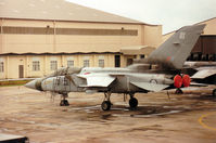 ZG795 @ EGVA - Another view of the 56[Reserve] Squadron Tornado F.3, callsign Phoenix, on the flight-line at the 1993 Intnl Air Tattoo at RAF Fairford. - by Peter Nicholson