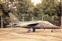 41 58 @ EGVA - Alpha Jet, callsign Winglet, of JBG-49 of the German Air Force on the flight-line at the 1993 Intnl Air Tattoo at RAF Fairford. - by Peter Nicholson