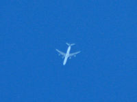 UNKNOWN @ LRCL - [EOS 450D / Tamrom 70-300 Maximum Zoom+Crop]