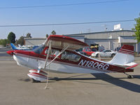 N1806G @ KRHV - Locally-based 1968 Champion 7ECA in brilliant sunshine @ Reid-Hillview (originally Reid's Hillview) Airport, San Jose, CA - by Steve Nation