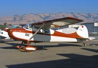 N1916C @ KRHV - Locally-based 1953 Cessna 170B in brilliant sunshine @ Reid-Hillview (originally Reid's Hillview) Airport, San Jose, CA - by Steve Nation