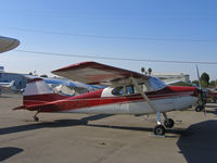 N8245A @ KRHV - Locally-based 1952 Cessna 170B in bright sunshine @ Reid-Hillview Airport, San Jose, CA (registered to owner in White City OR by Aug 2006) - by Steve Nation