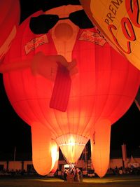 G-BXUG - WIM 2010 nightglow - by ghans