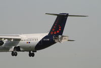 OO-DWI @ EBBR - Several seconds before landing on RWY 25L - by Daniel Vanderauwera