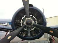 N5015L @ KSNA - Mint looking radial power-plant.  Wish I could hear this roar! - by bodypilot