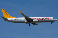 TC-AAS @ EDDF - Pegasus Airlines