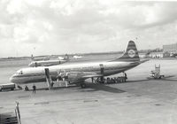 PH-LLE @ EHAM - KLM , Lockheed Electra at SPL - by Henk Geerlings