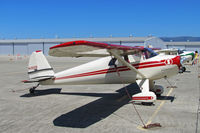 N1302B @ KWVI - Locally-based 1948 Luscombe 8E at 2010 Watsonville Fly-In - by Steve Nation