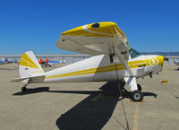 N1474B @ KWVI - Locally-based 1948 Luscombe 8E at 2010 Watsonville Fly-In - by Steve Nation