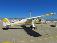N1474B @ KWVI - Locally-based 1948 Luscombe 8E at 2010 Watsonville Fly-In - by Steve Nation