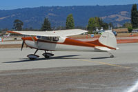 N1916C @ KWVI - KRHV-based 1953 Cessna 170B taxiing out for local flight at 2010 Watsonville Fly-In - by Steve Nation