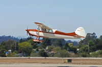 N1916C @ KWVI - KRHV-based 1953 Cessna 170B climbing out for local flight at 2010 Watsonville Fly-In - by Steve Nation