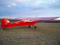 N95258 - 1946 Taylorcraft BC-12D - by Martin Towsley
