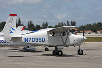 N7036D @ KOPF - Opa Locka airport, Miami - by olivier Cortot
