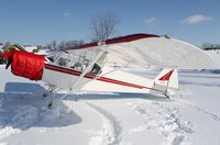 N316BR @ WS17 - Smith Super Cub - by Mark Pasqualino