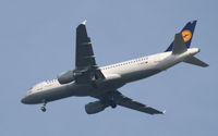 D-AIZF photo, click to enlarge D-AIZF photo, click to enlarge